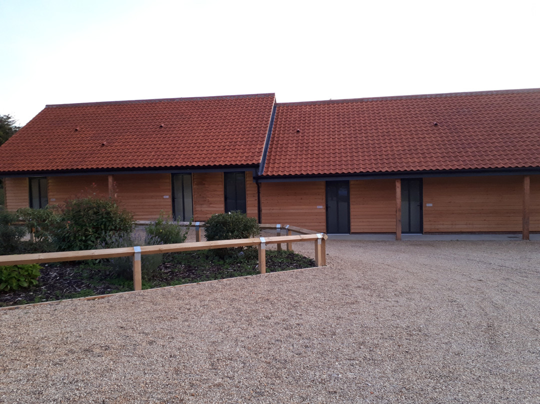 The Pig Shed Motel主图