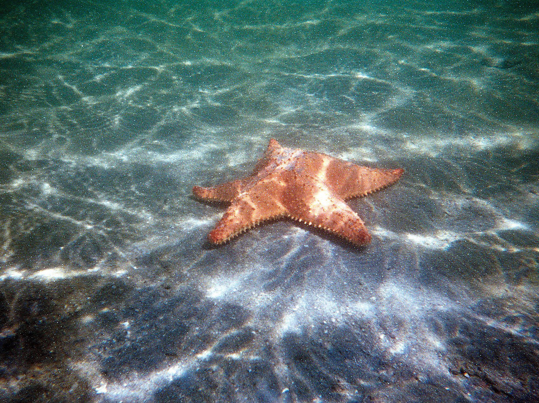 Aqua Adventure Tours-Palm Beach Shores必去景点