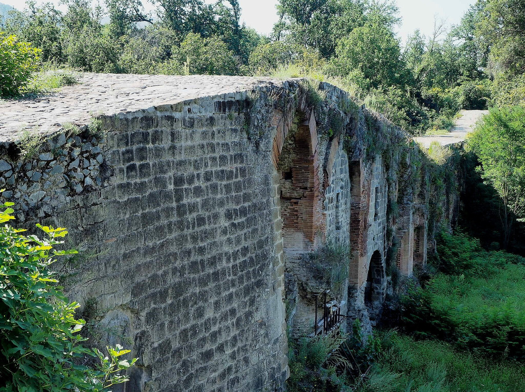 Ponte Ronaco景点图片