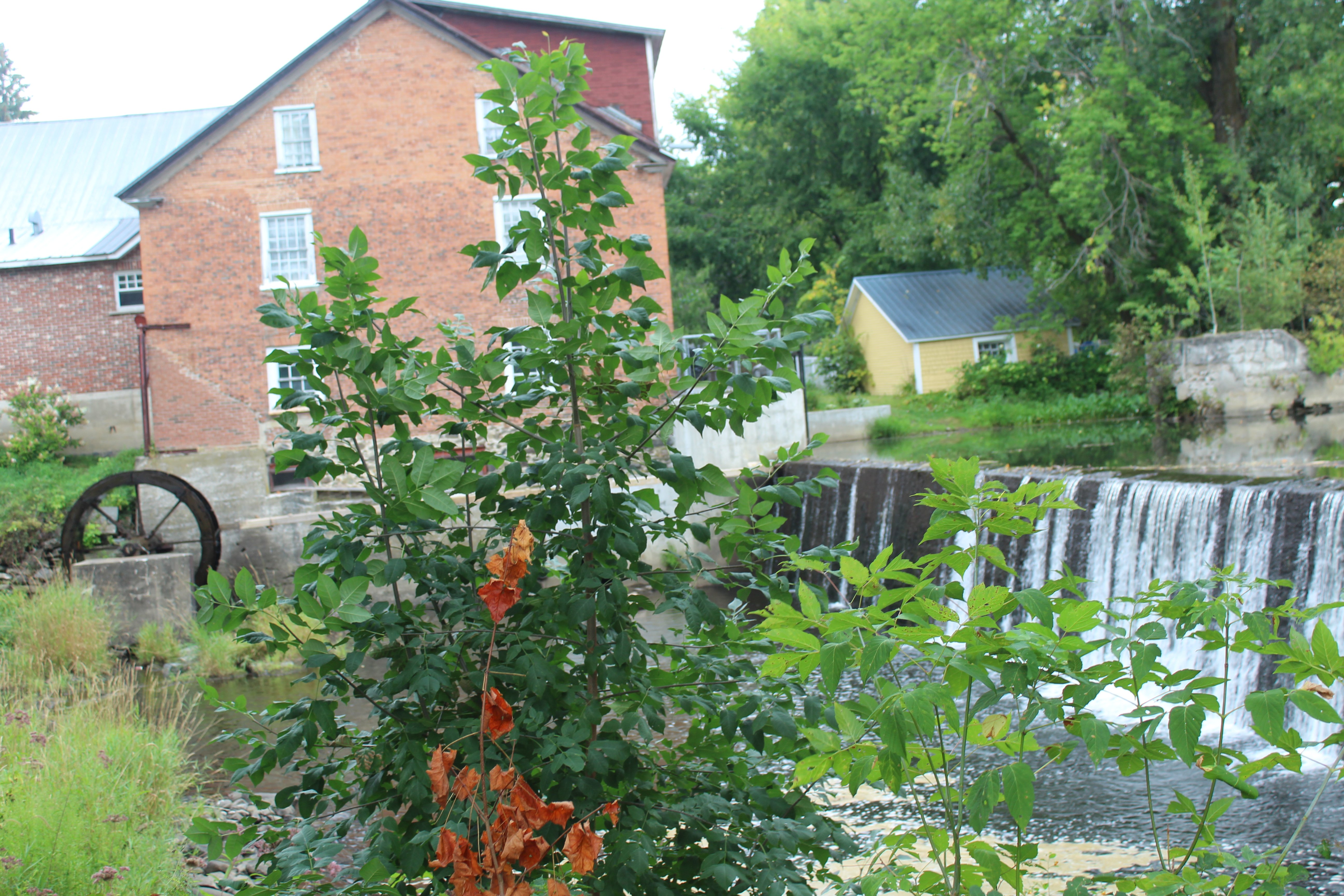 Le Old Mill 1849-浴室