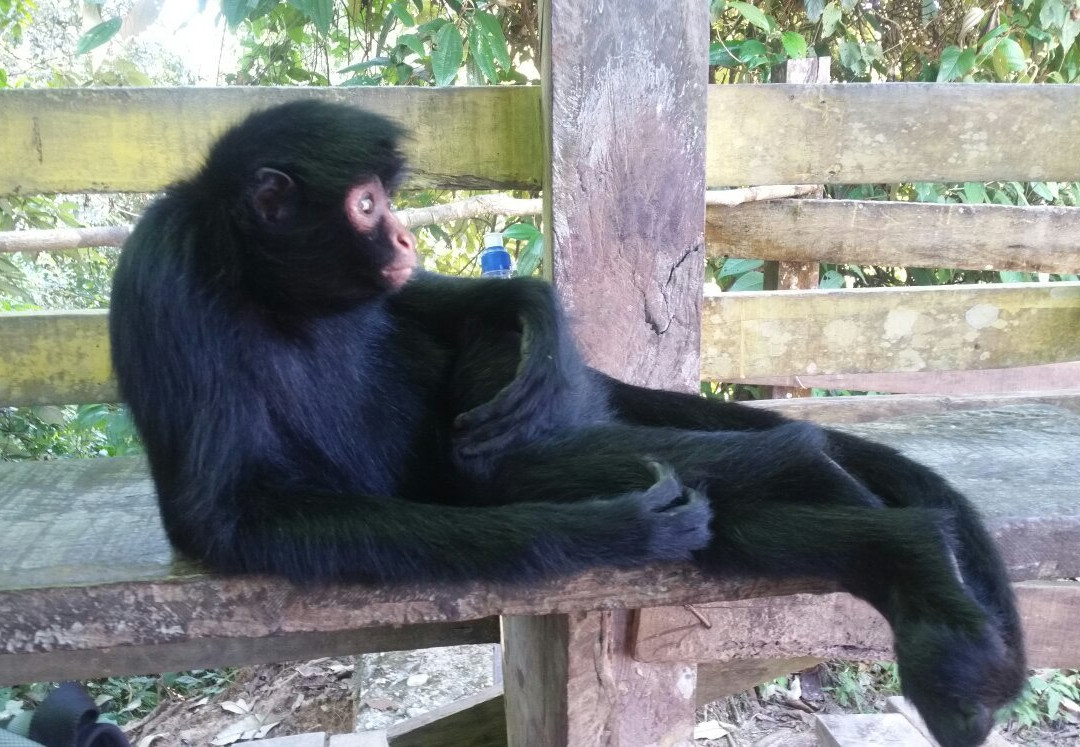 Parque Machia-Villa Tunari必去景点