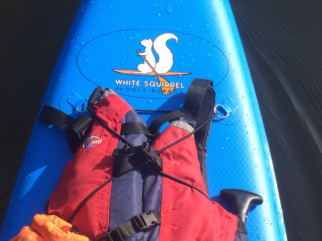 White Squirrel Paddle Boards景点图片