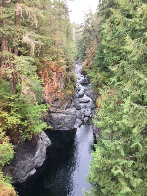 Englishman River Falls Provincial Park景点图片