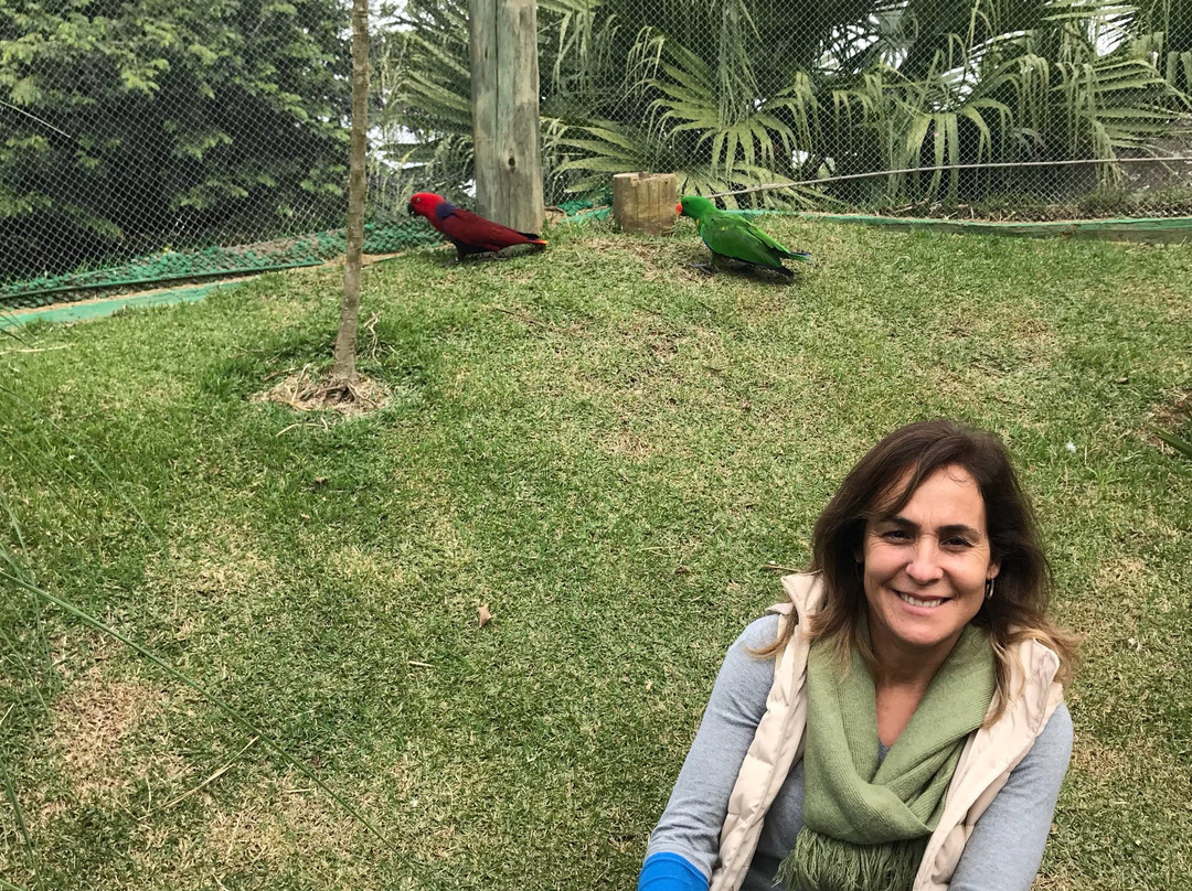 Yohoo Turismo-弗洛里亚诺波利斯必去景点