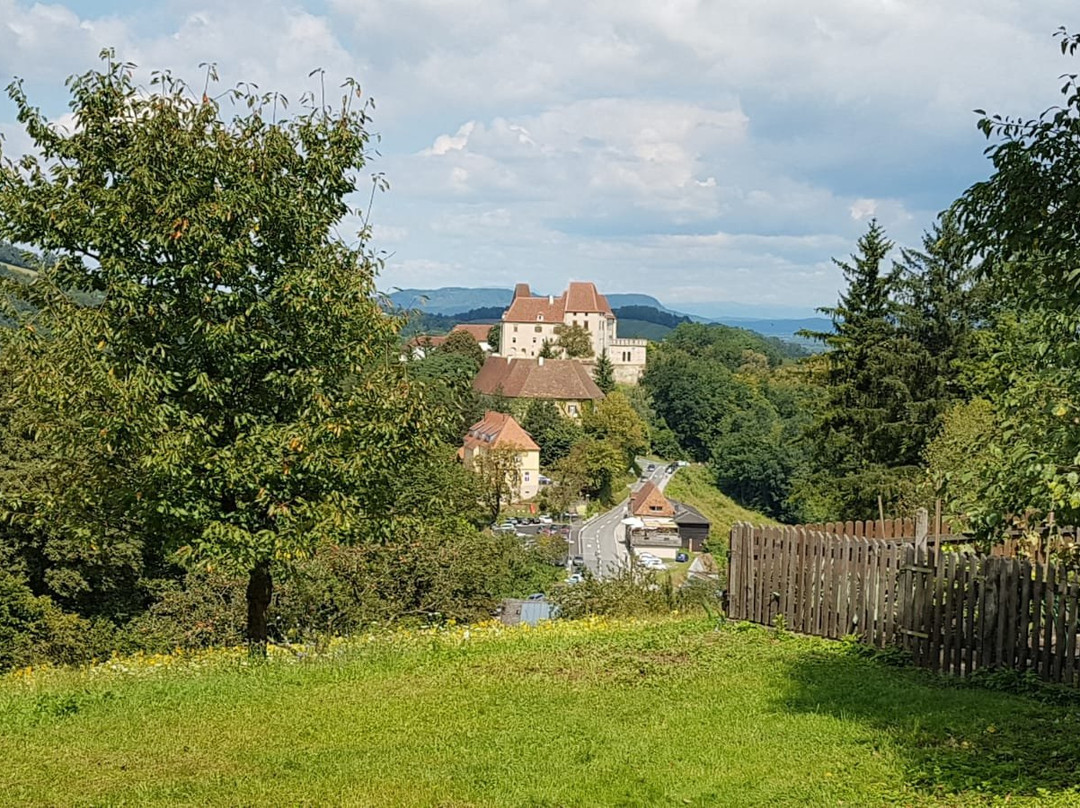 Hotel Schloss Seggau主图