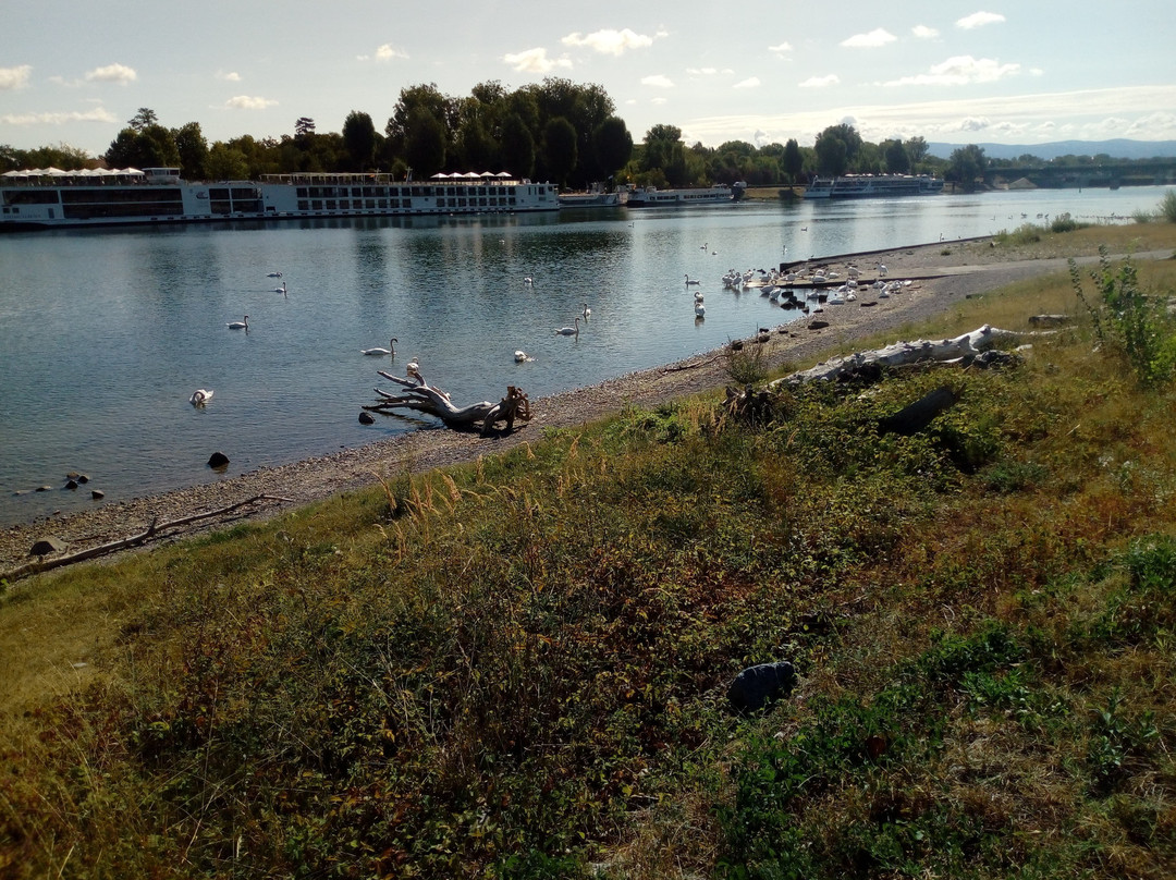 Camping Tohapi L'ile Du Rhin
