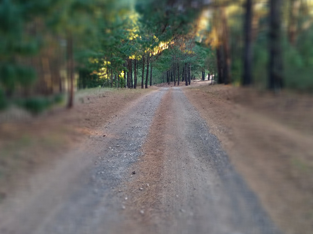 Anford Country House主图