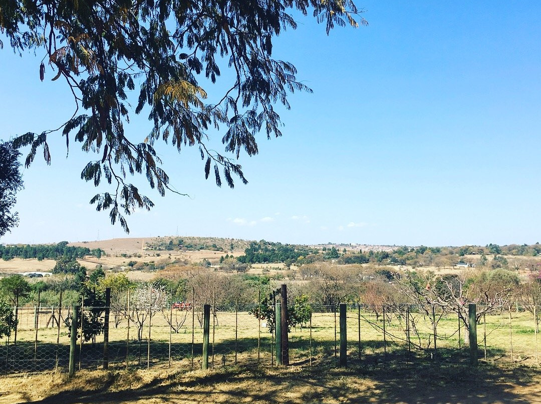 Random Harvest Country Cottages主图