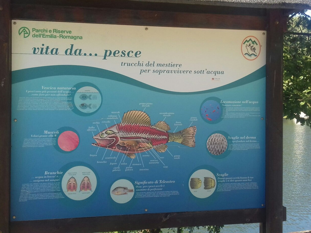 Lago di Santa Maria景点图片