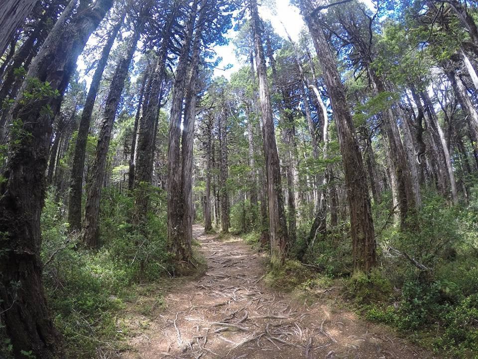 TURISMOSOSTENIBLE.CL-Ciudad La Union必去景点