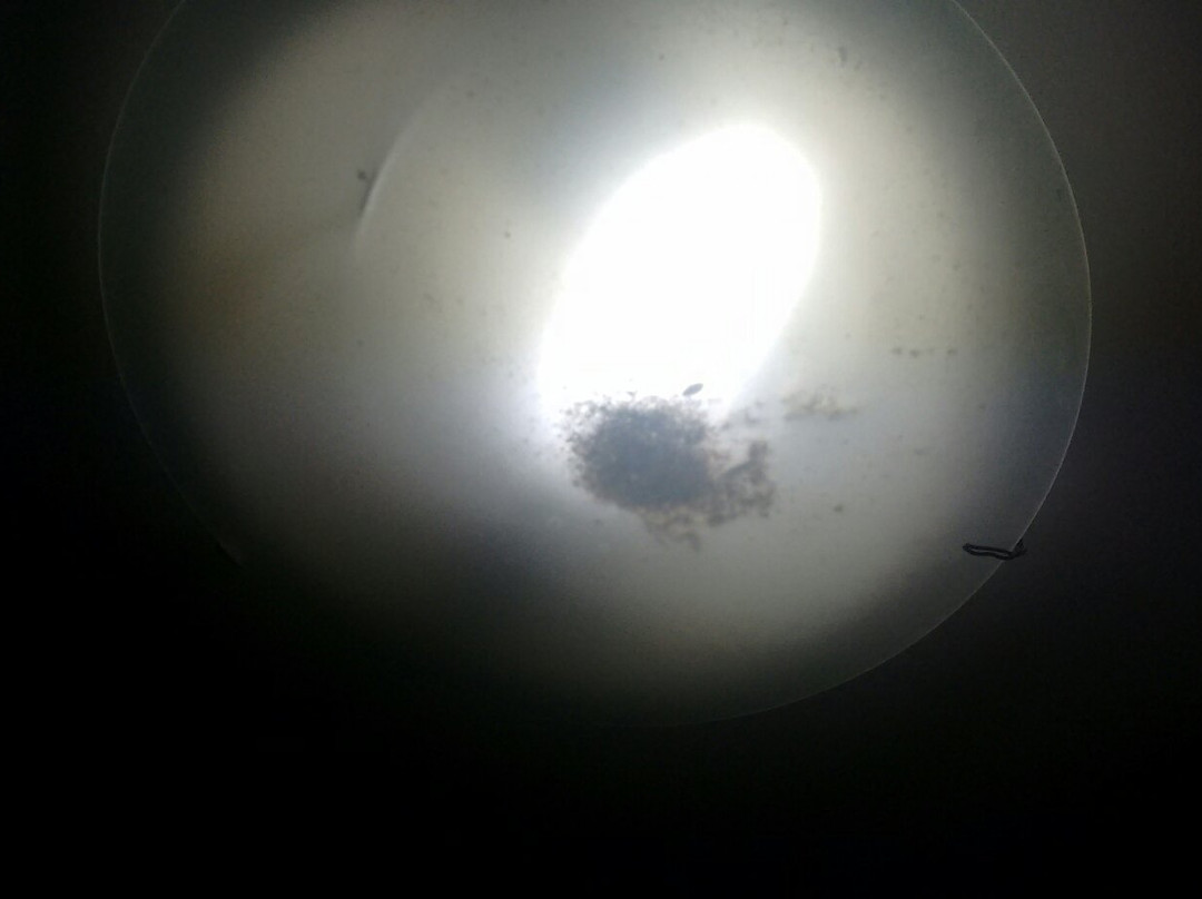 Royal Plazza Hotel主图