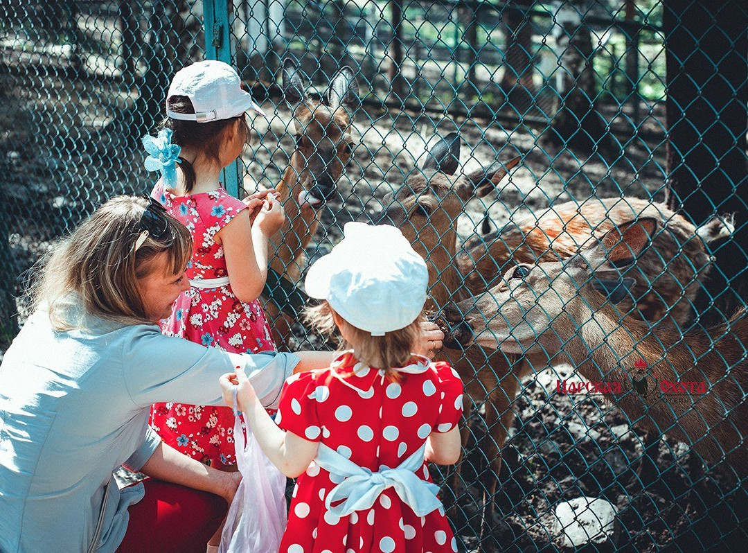 Tsarskaya Okhota主图