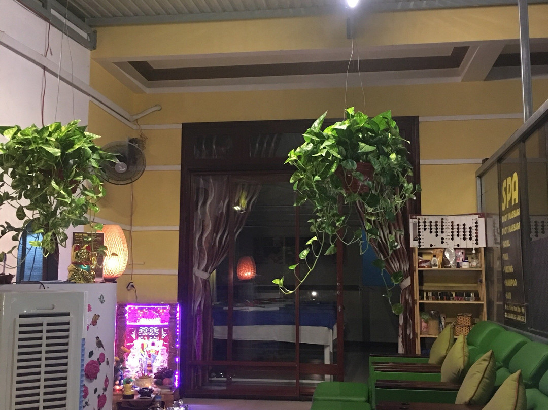 Yellow Orchids Spa-会安必去景点