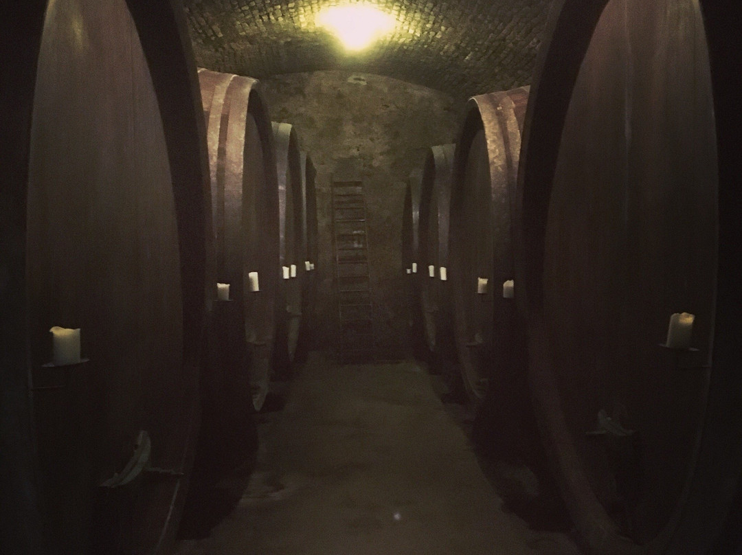 Weingut Nikolaihof-Mautern an der Donau必去景点