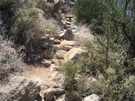 Aguirre Spring National Recreation Area-Organ必去景点