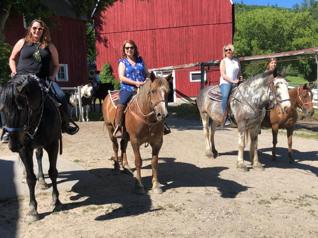 Captiva Farms-Wakefield必去景点