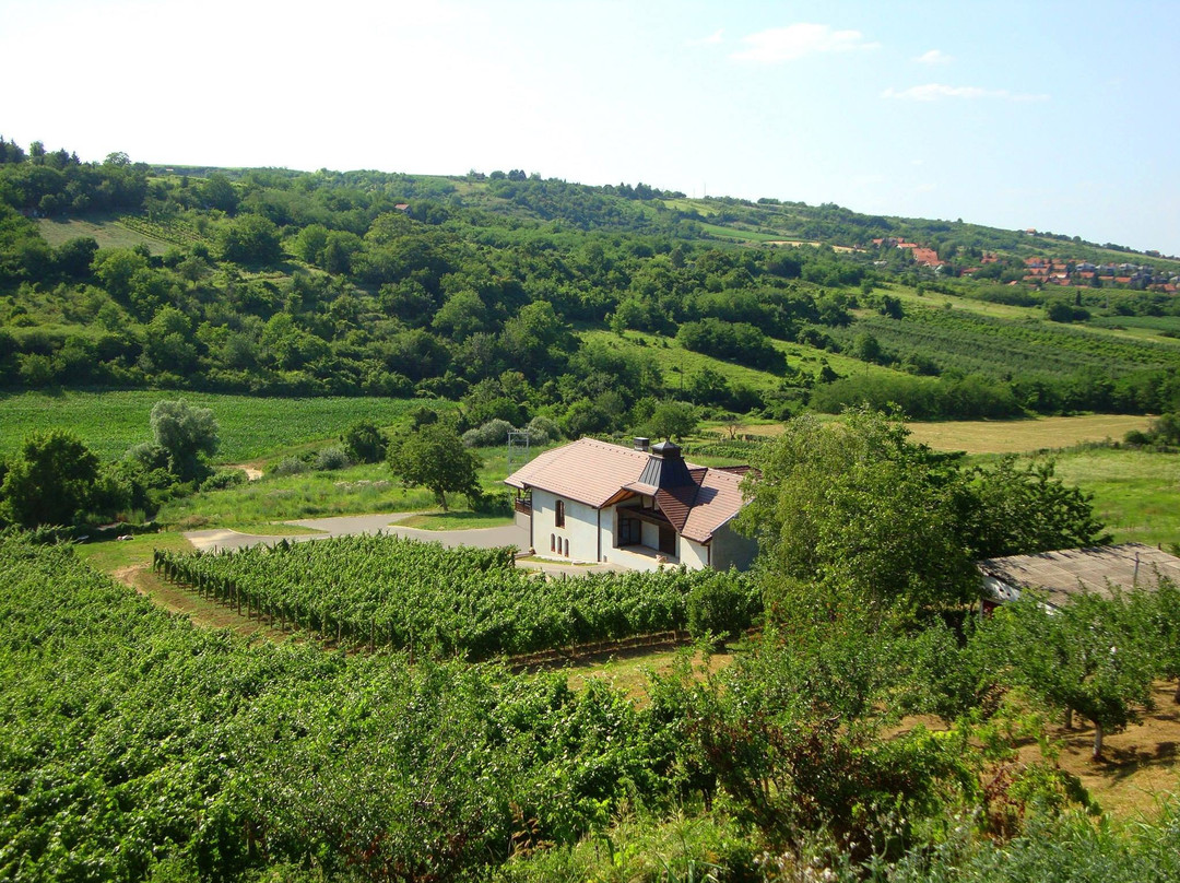 Veritas Winery景点图片