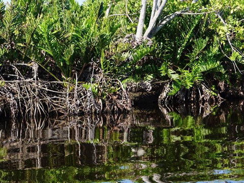 Palm Bay Marina-Palm Bay必去景点