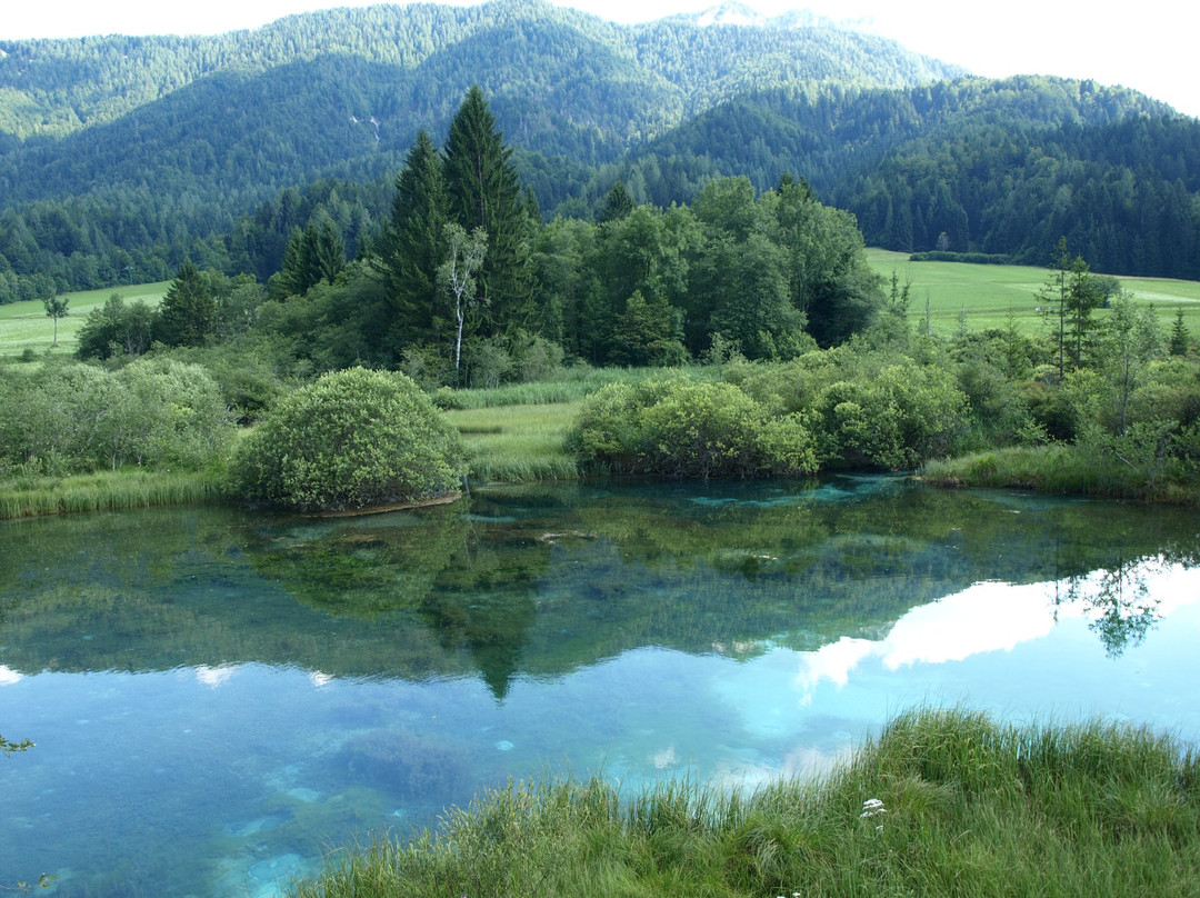 Zelenci Nature Reserve景点图片