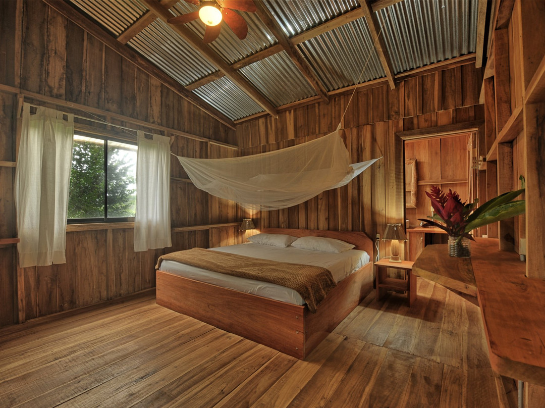 Finca Amistad Cacao Lodge主图