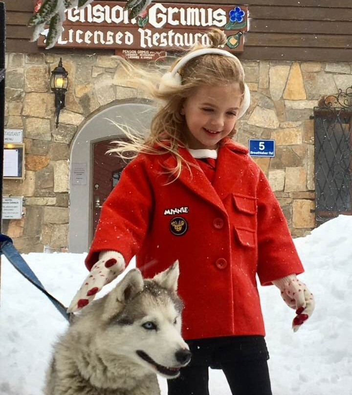 Australian Sleddog Tours-Mount Buller必去景点