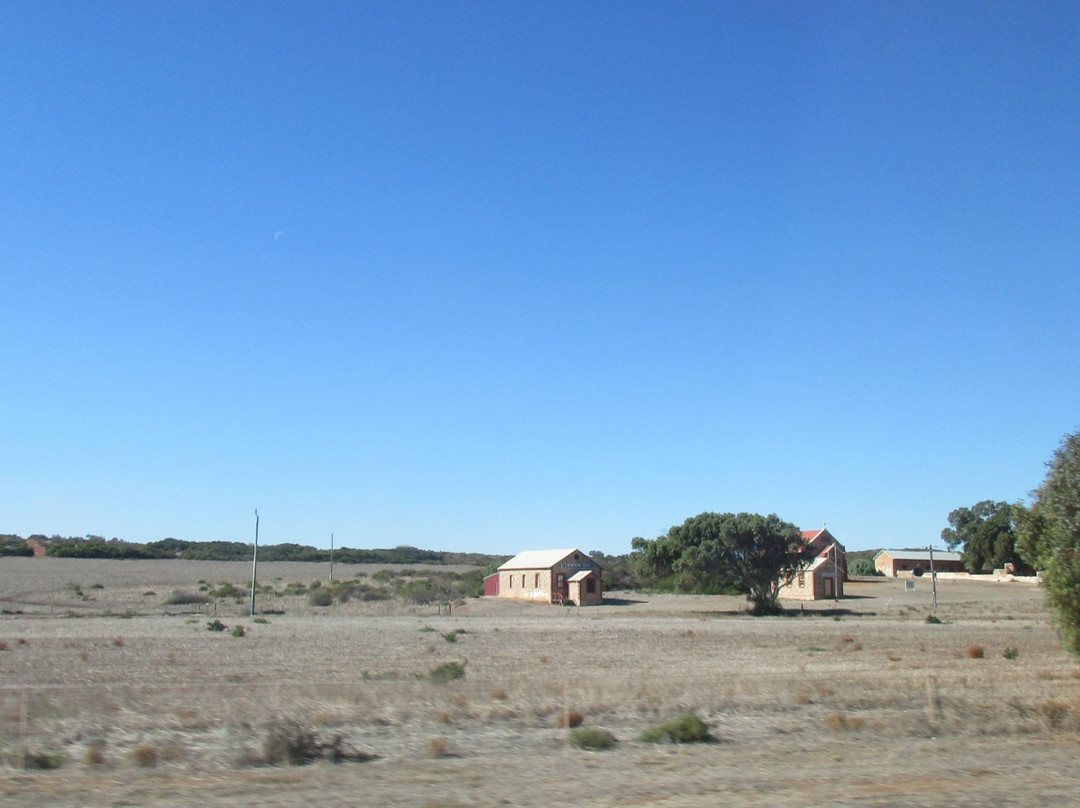 The Leaning Trees-Greenough必去景点