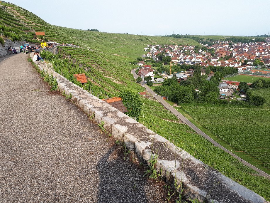 Weinort Mundelsheim am Neckar景点图片