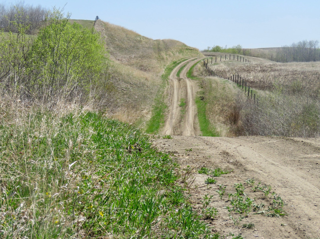 Rowley旅游攻略图片