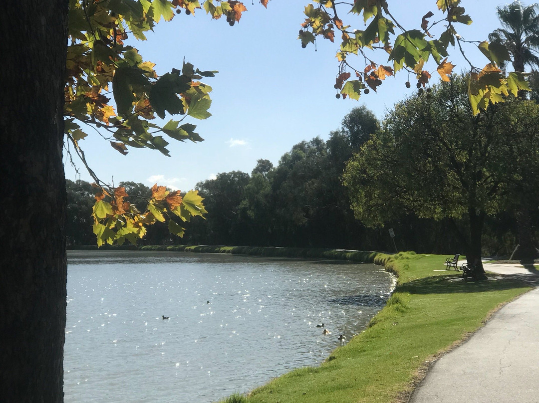 Memorial Park景点图片