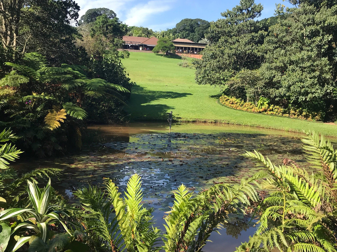 Kloof旅游攻略图片