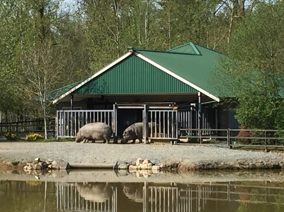 Greater Vancouver Zoo景点图片