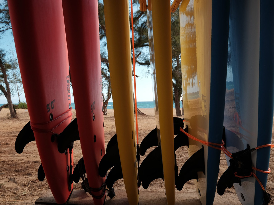 The Surf Shack-托佛必去景点