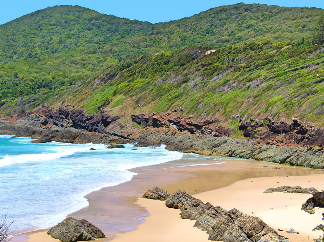 Burgess Beach,  Forster景点图片