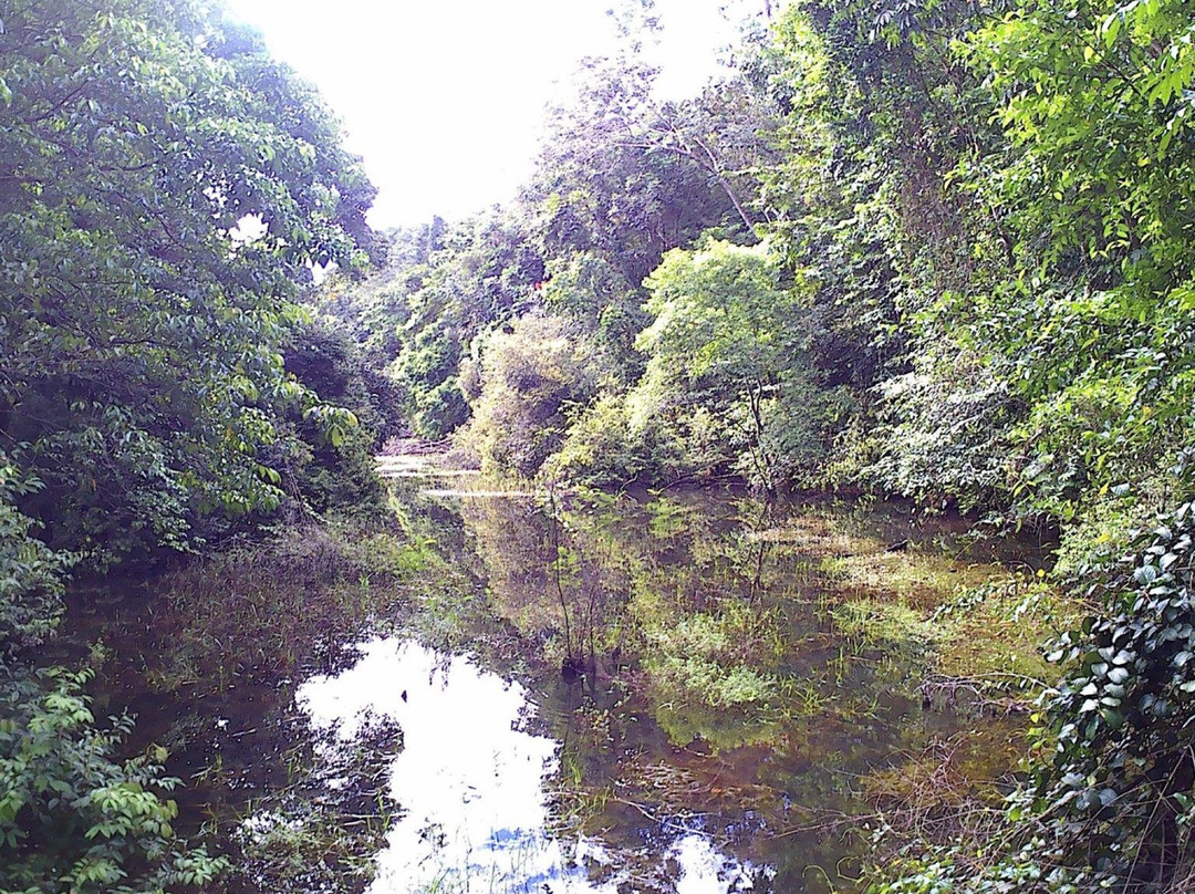 Remire-Montjoly旅游攻略图片