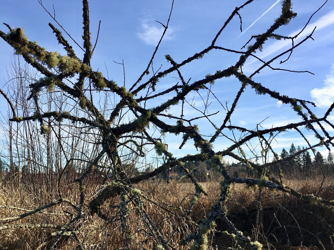 North Creek Park-博塞尔必去景点