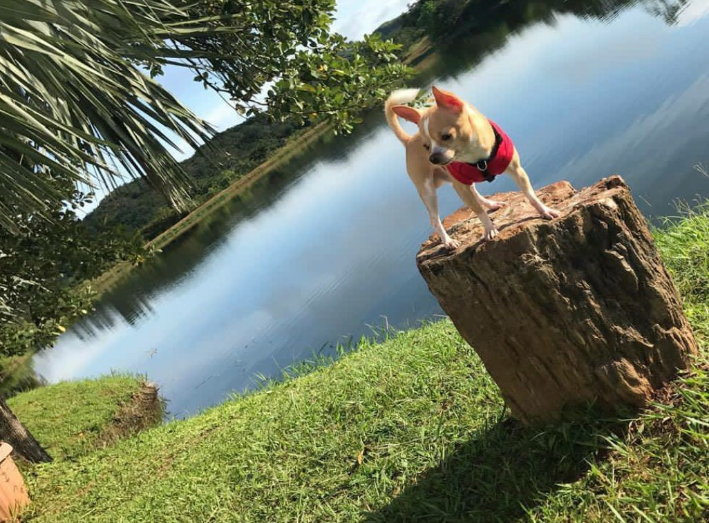 Hotel VistaLago主图