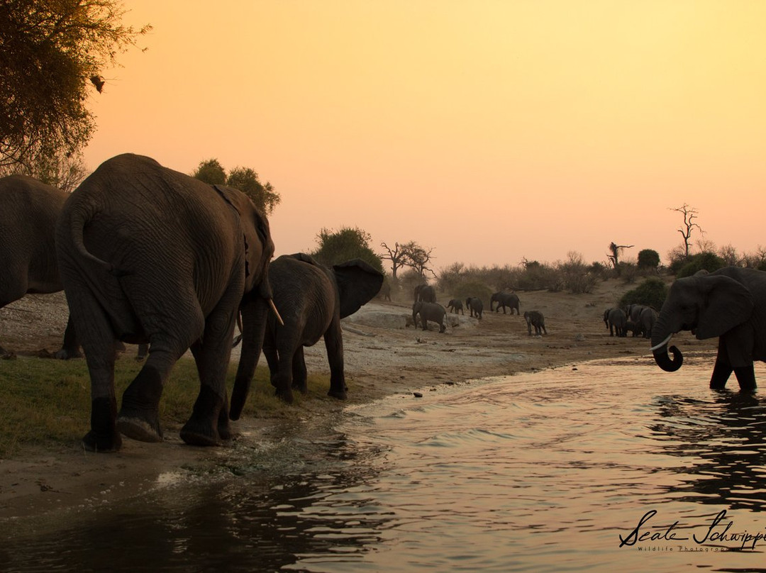 Photo Club Zambezi-Katima Mulilo必去景点