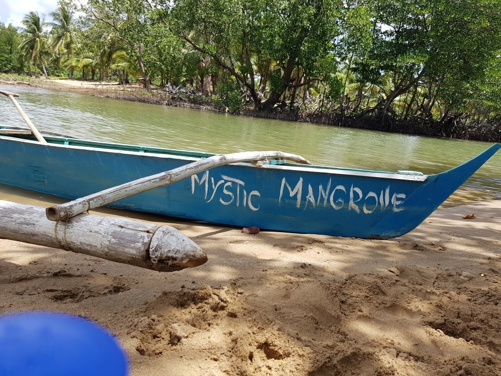 Mystic Mangrove Adventure-爱妮岛必去景点