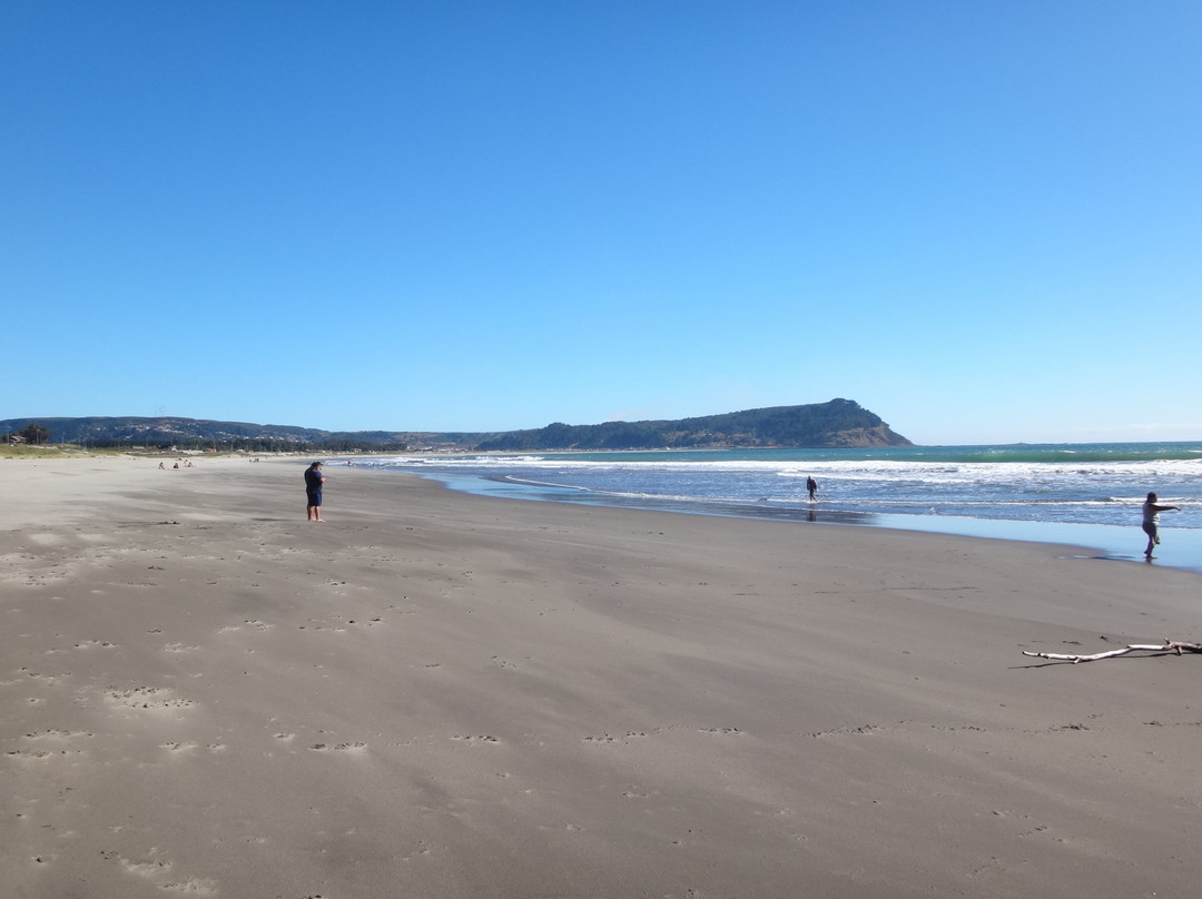 Playa Millaneco-Lebu必去景点