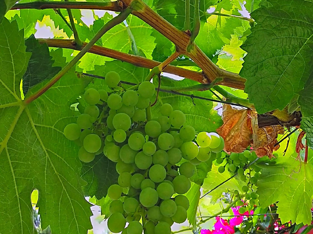 La Malanca Hotel & Spa主图