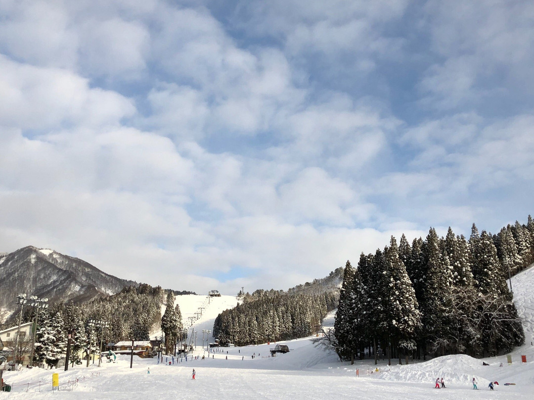 Yuzawa Park Ski Resort景点图片