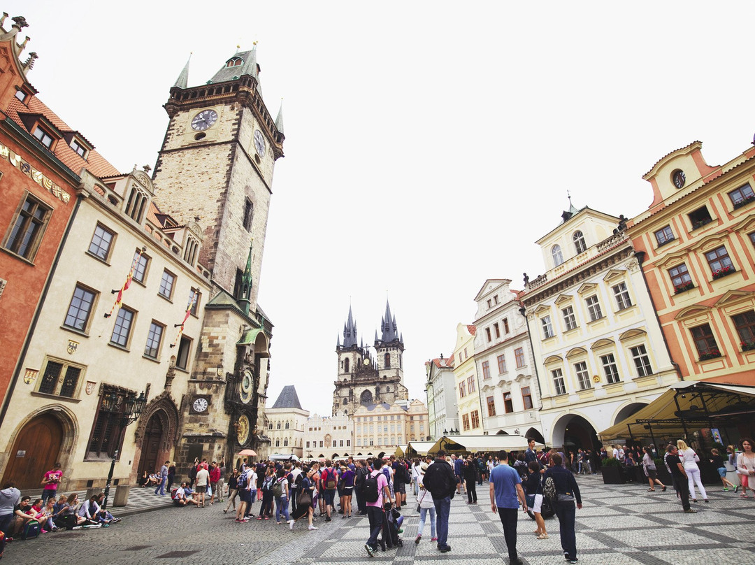 Guide francophone a Prague - Martina Geletova景点图片