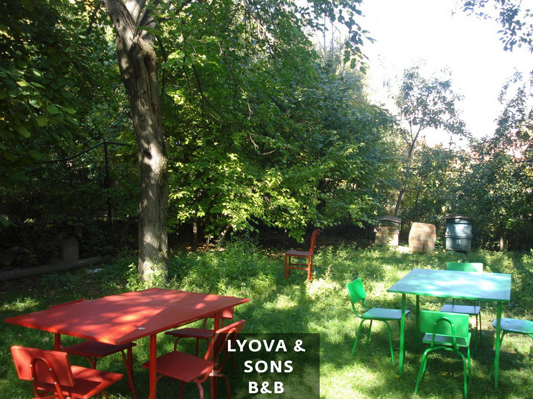 Lyova & Sons B&B主图
