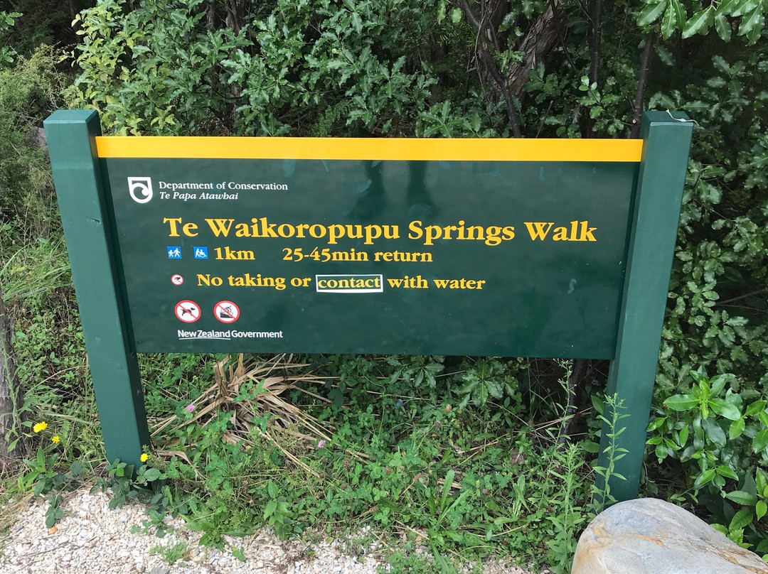 Te Waikoropupu Springs (Pupu Springs)景点图片