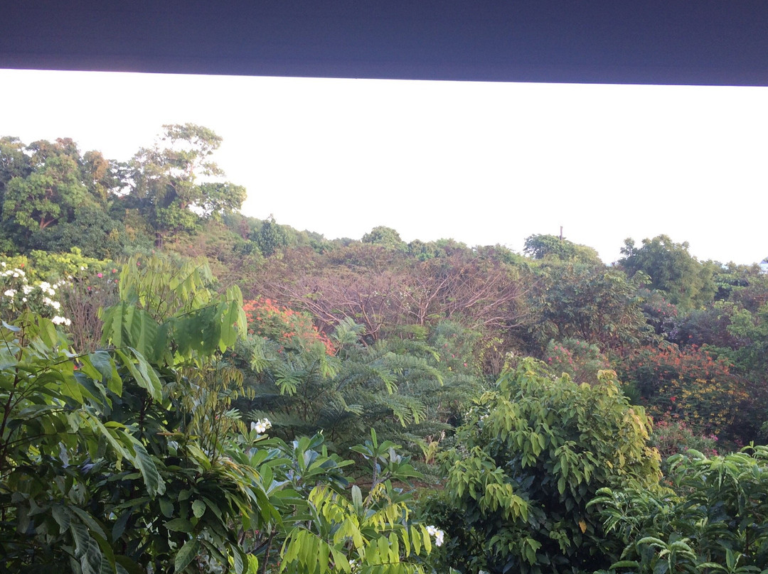 法路艾岛生态度假村主图