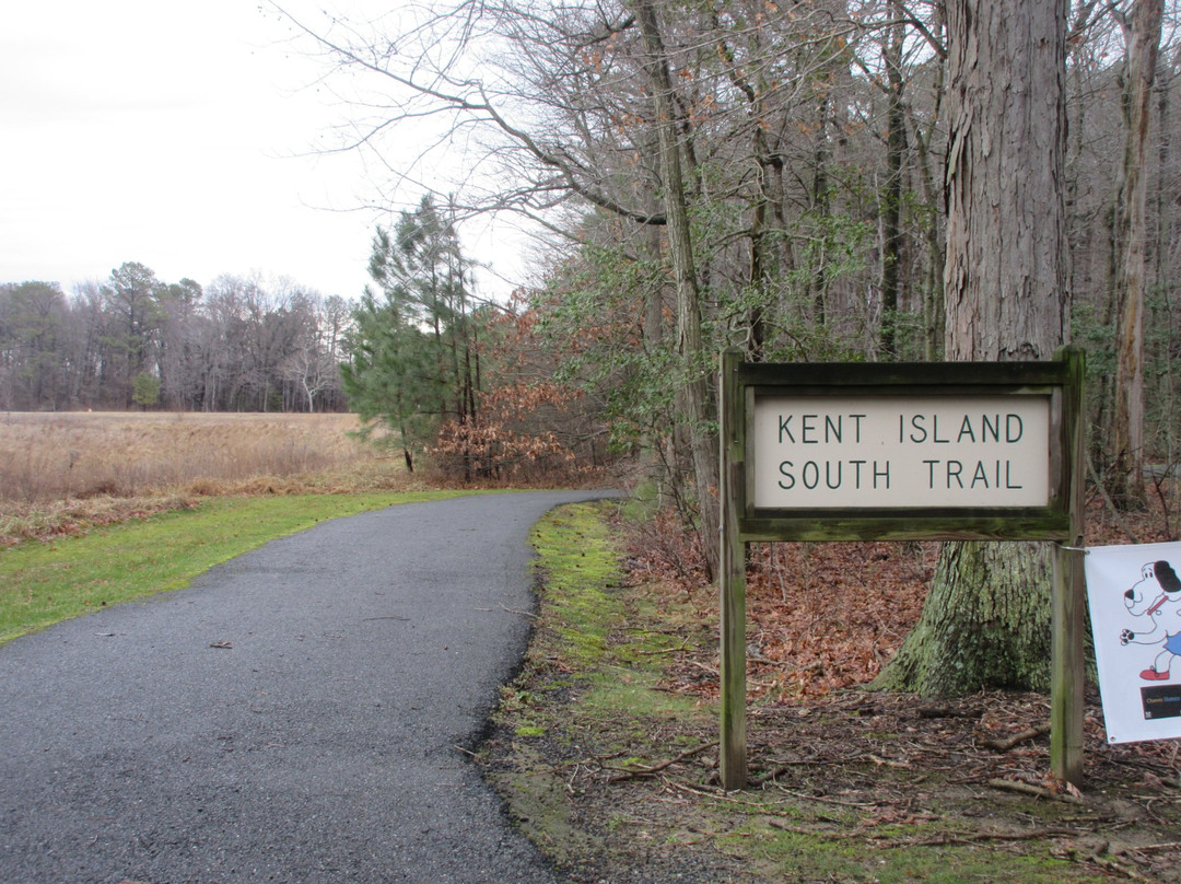 Kent Island South Trail景点图片