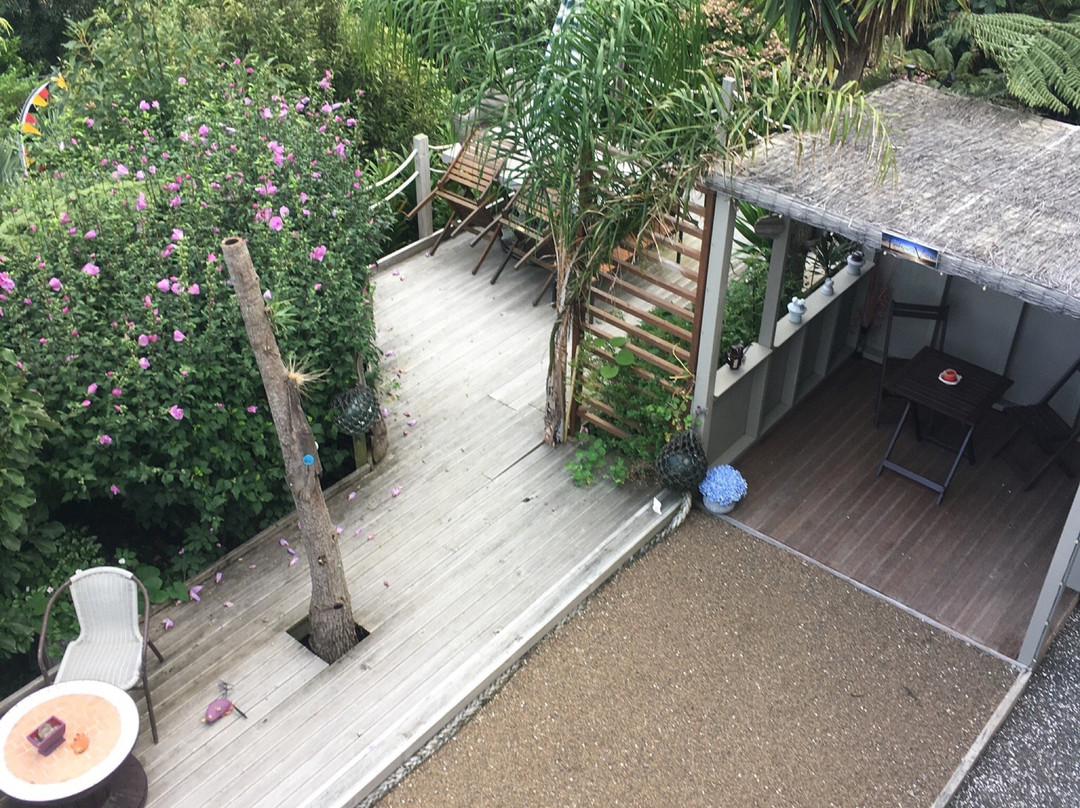 Tohora View Bed & Breakfast主图