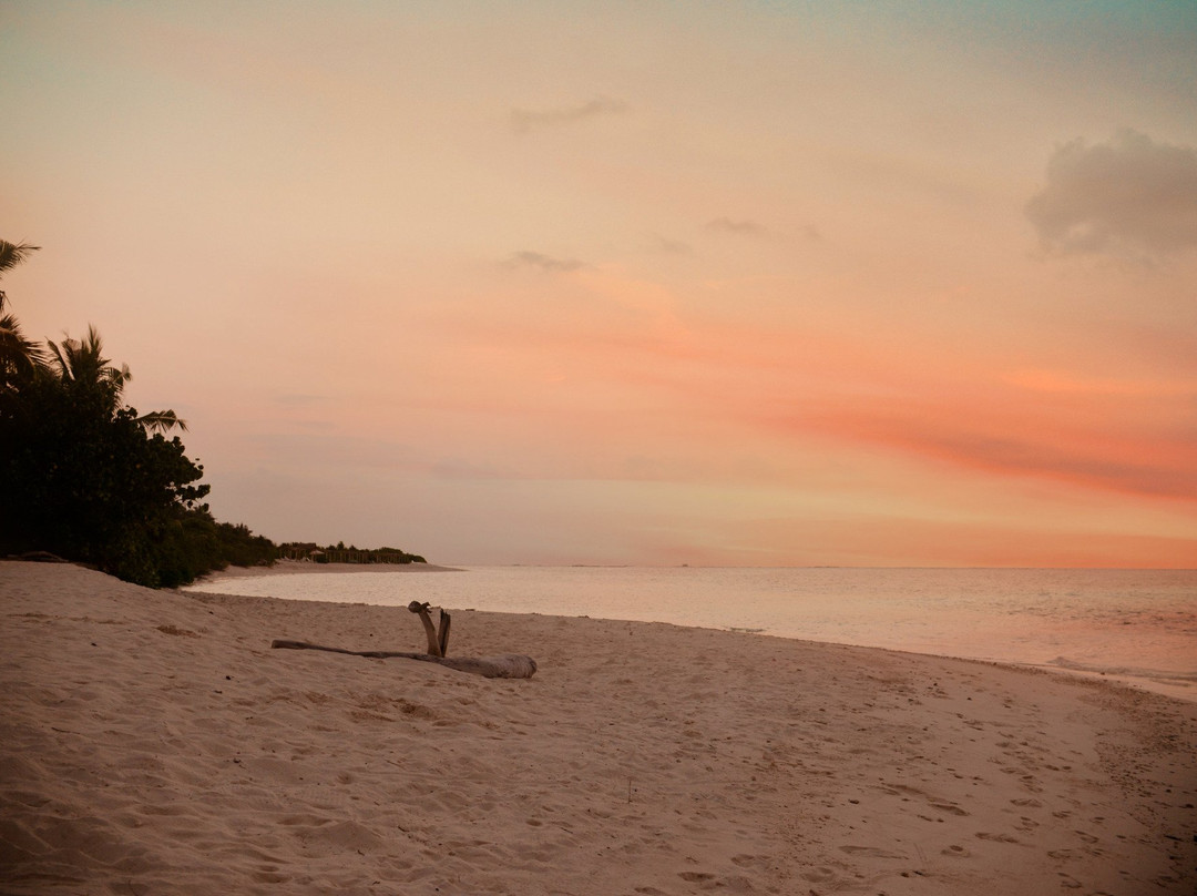 The Castaway Retreat主图