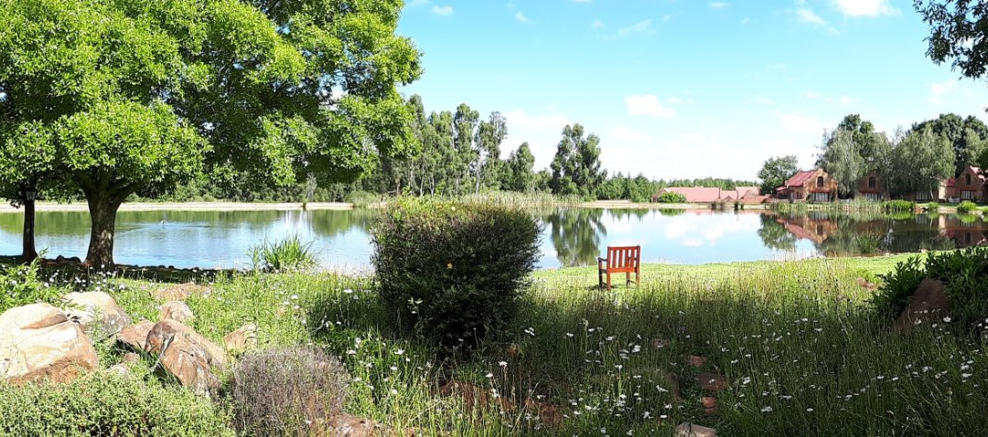 Critchley Hackle主图