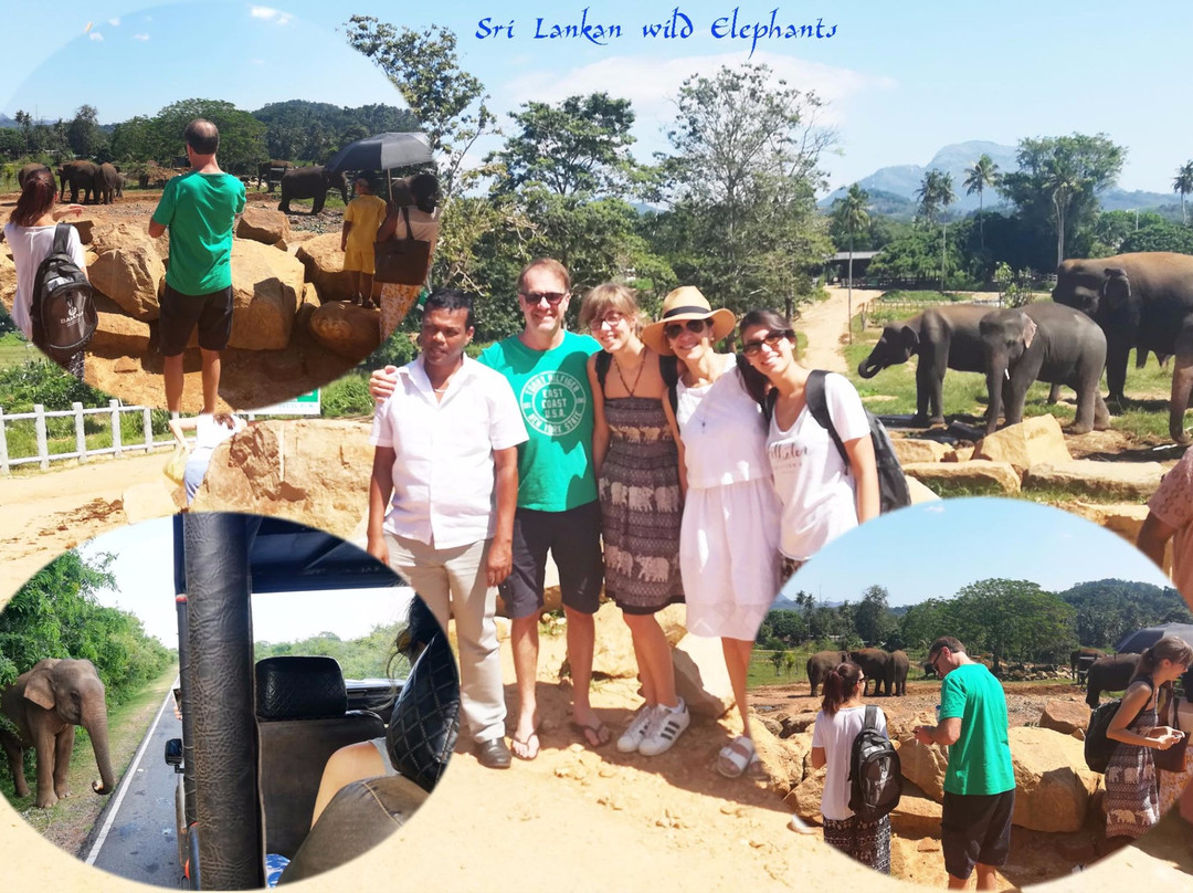 Volo Lanka Tours景点图片